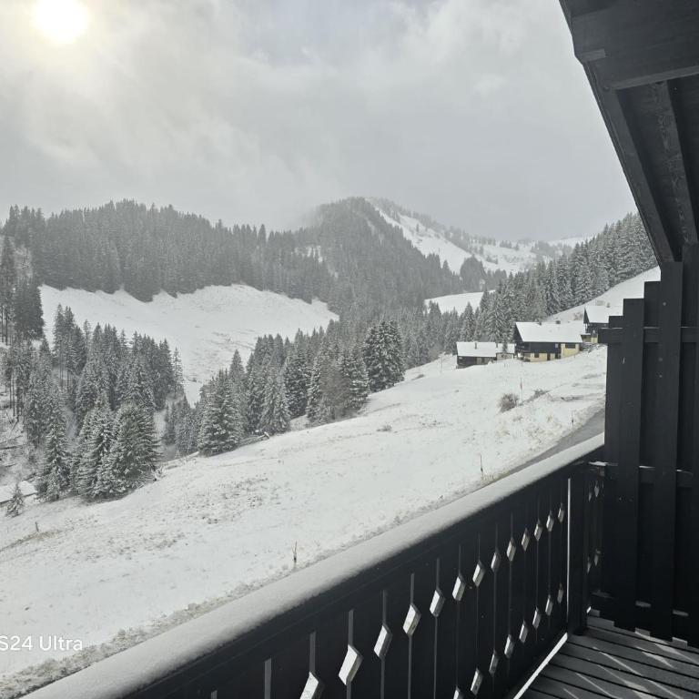 Dahlia 9 - Apartment mit 3 Schlafzimmern - 23