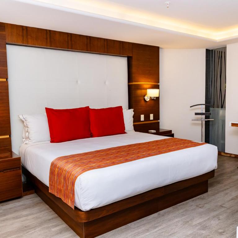 JF Grand Puebla - Suite Deluxe - 12