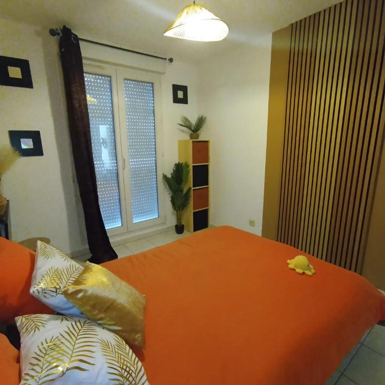 Grand T2 avec terrasse - Appartement 1 Chambre - 4