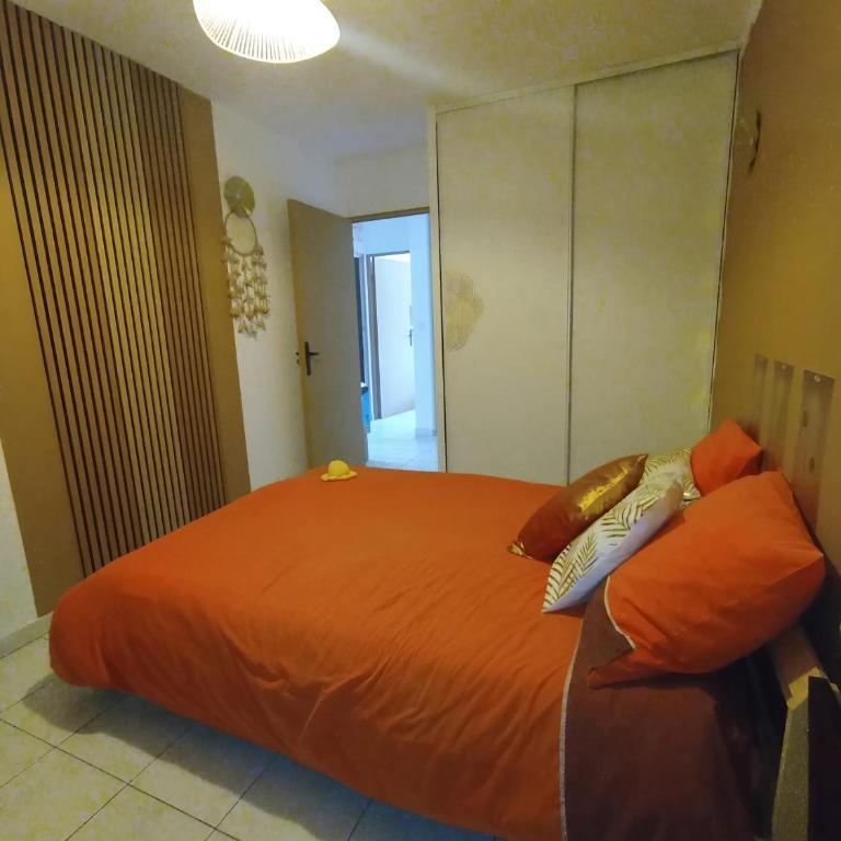 Grand T2 avec terrasse - Appartement 1 Chambre - 7