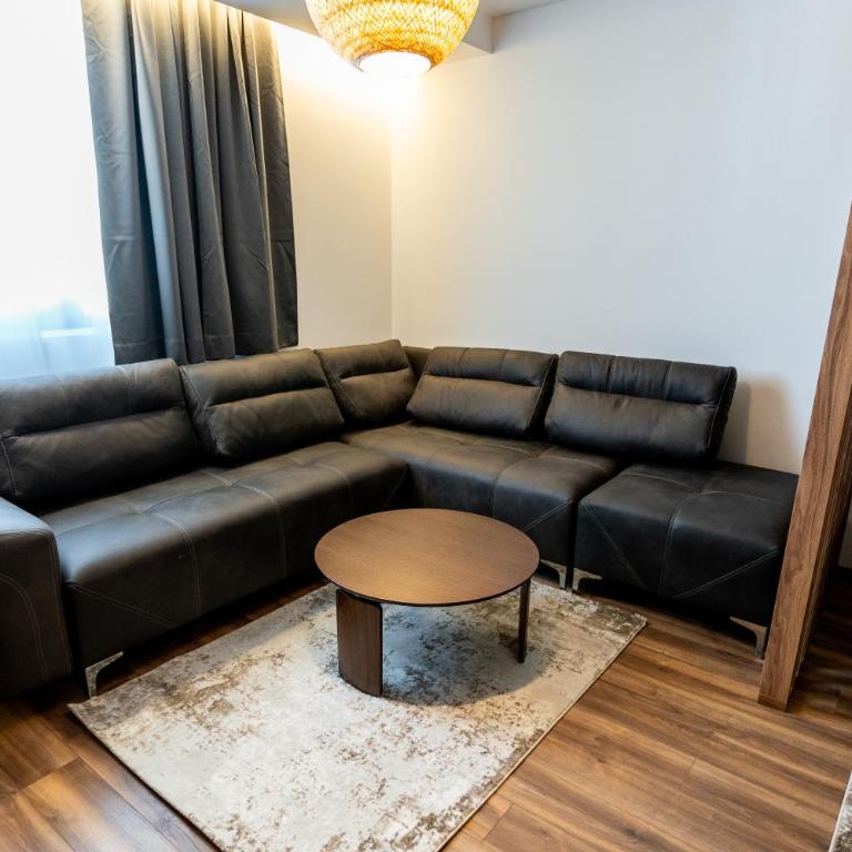Apart-Hotel Ariš Kopaonik - Deluxe Room - 9