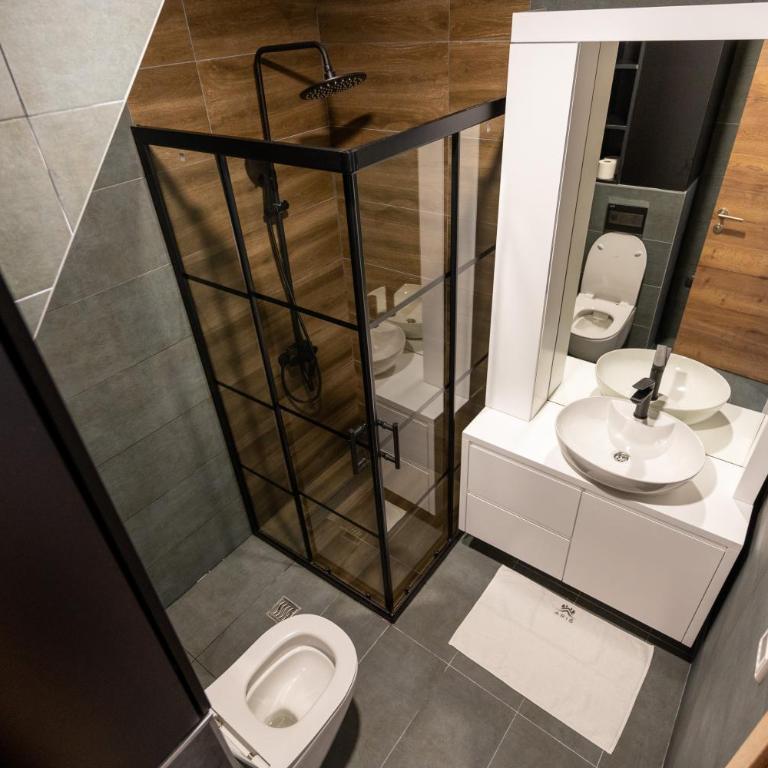Apart-Hotel Ariš Kopaonik - Deluxe Room - 19