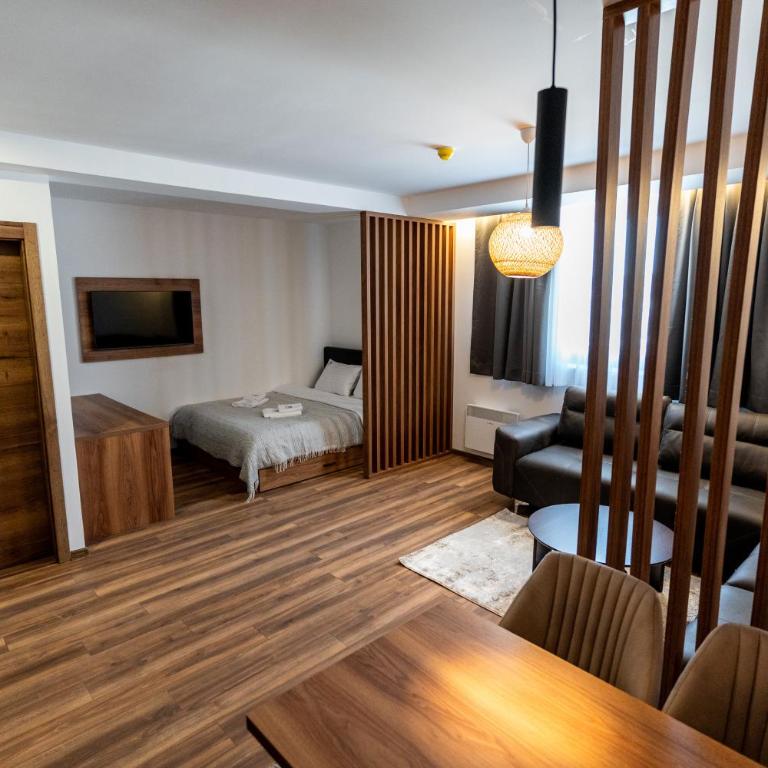 Apart-Hotel Ariš Kopaonik - Deluxe Room - 30