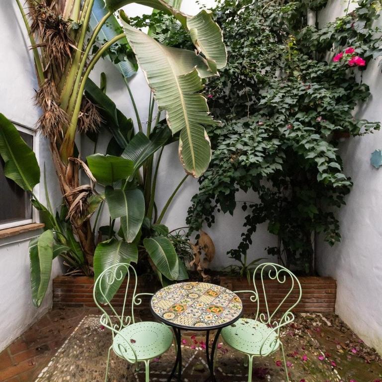 Casa Joya - House in Casco Antiguo with Patio & Roof Terrace - Casa de 3 dormitorios - 4