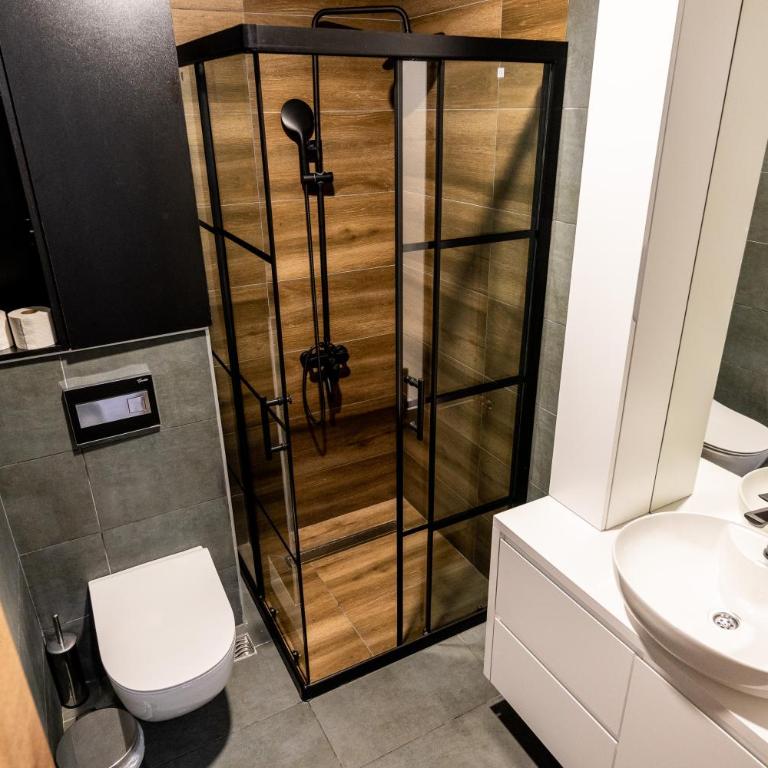 Apart-Hotel Ariš Kopaonik - Deluxe Suite - 6