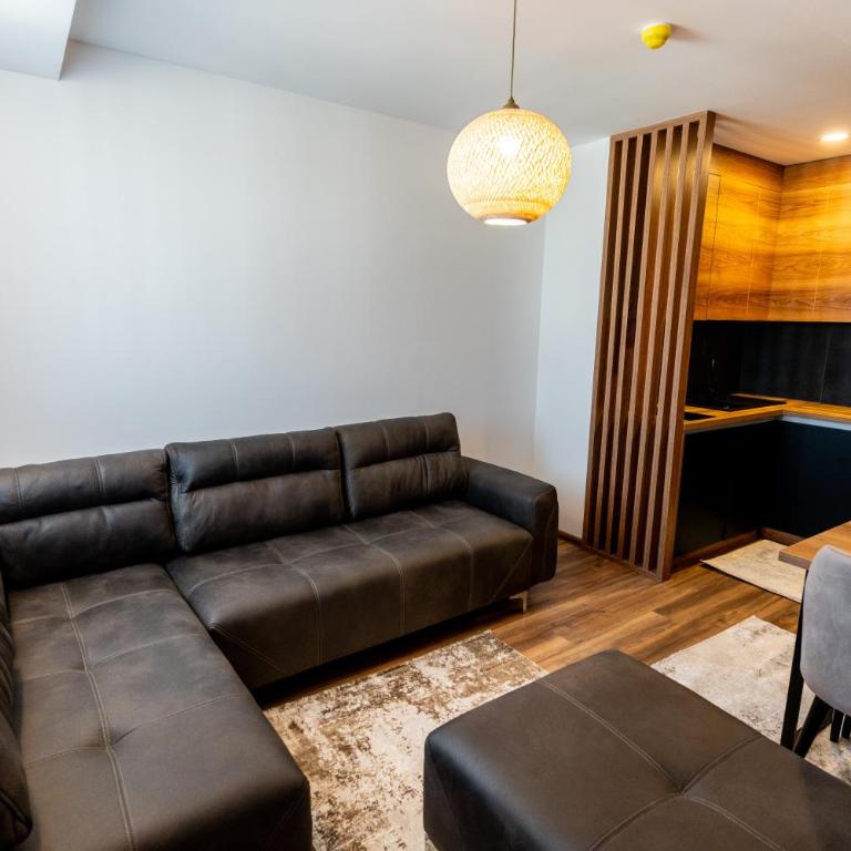 Apart-Hotel Ariš Kopaonik - Deluxe Suite - 11