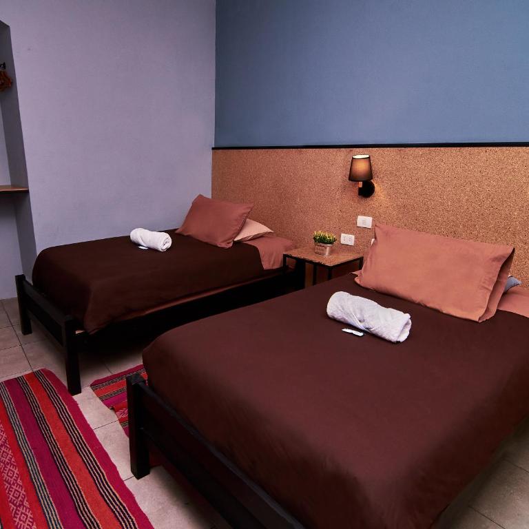 Wild Rover La Paz - Twin Room with Shared Bathroom - 1