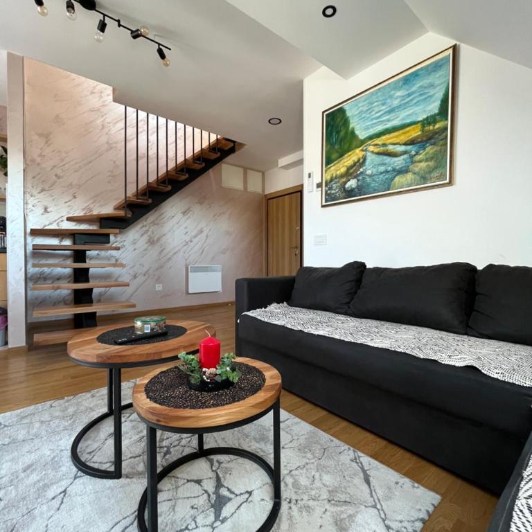Dzass - Two-Bedroom Apartment - 4
