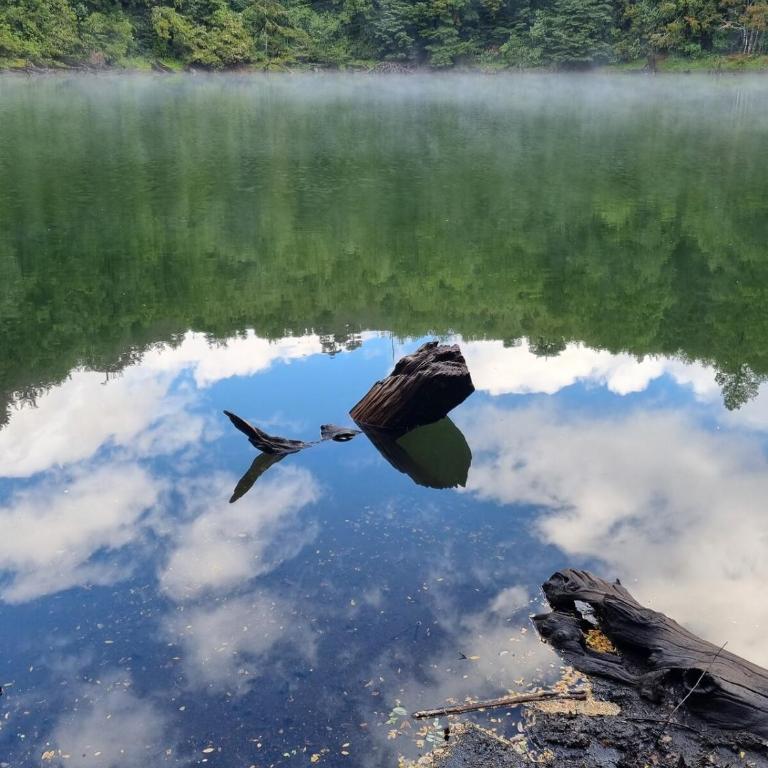 La Gaviota Casa ecológica cerca Lago Caburgua - Casa de 2 dormitorios - 23
