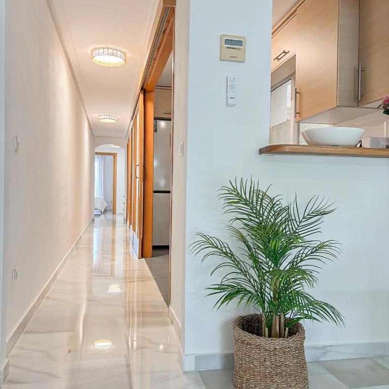 Oasis del Sol - Three-Bedroom Apartment - 16