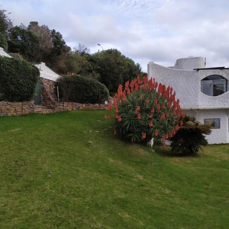 Apart con la mejor vista a Piriapolis - Apartamento de 2 dormitorios - 32
