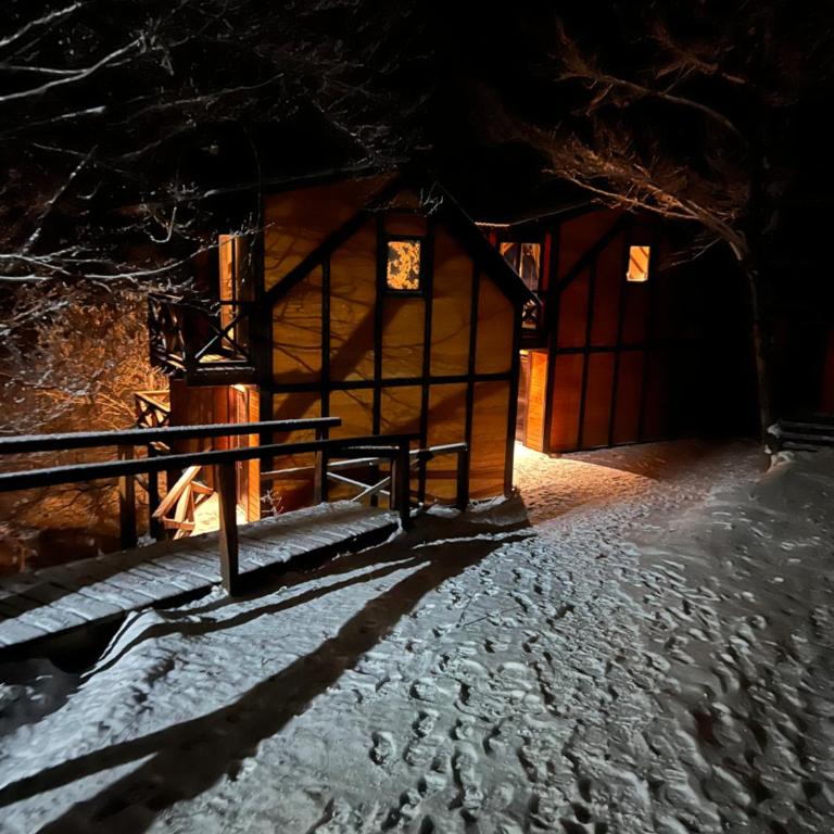 Bungalux Kopaonik - One-Bedroom House - 20