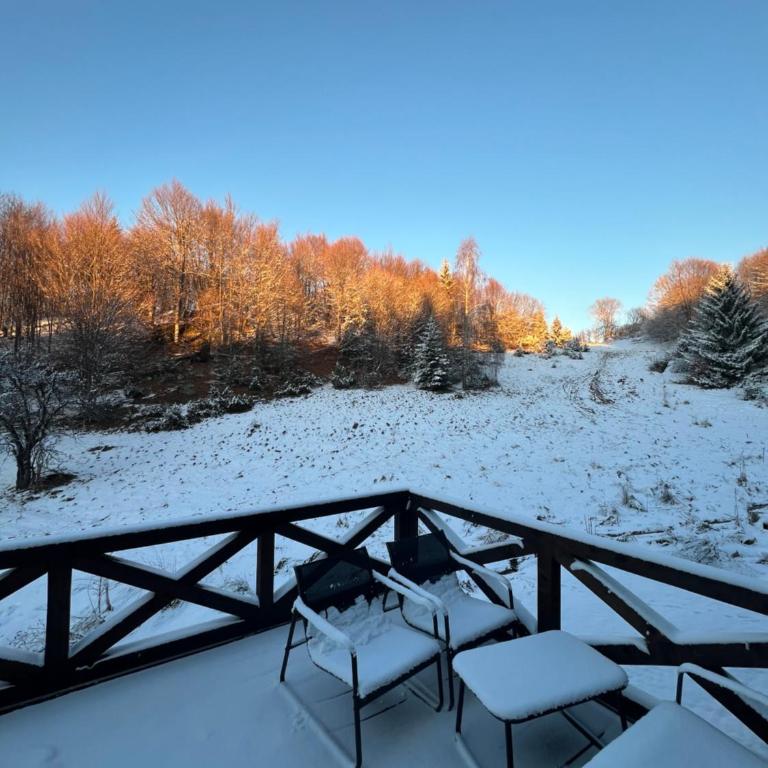Bungalux Kopaonik - One-Bedroom House - 24