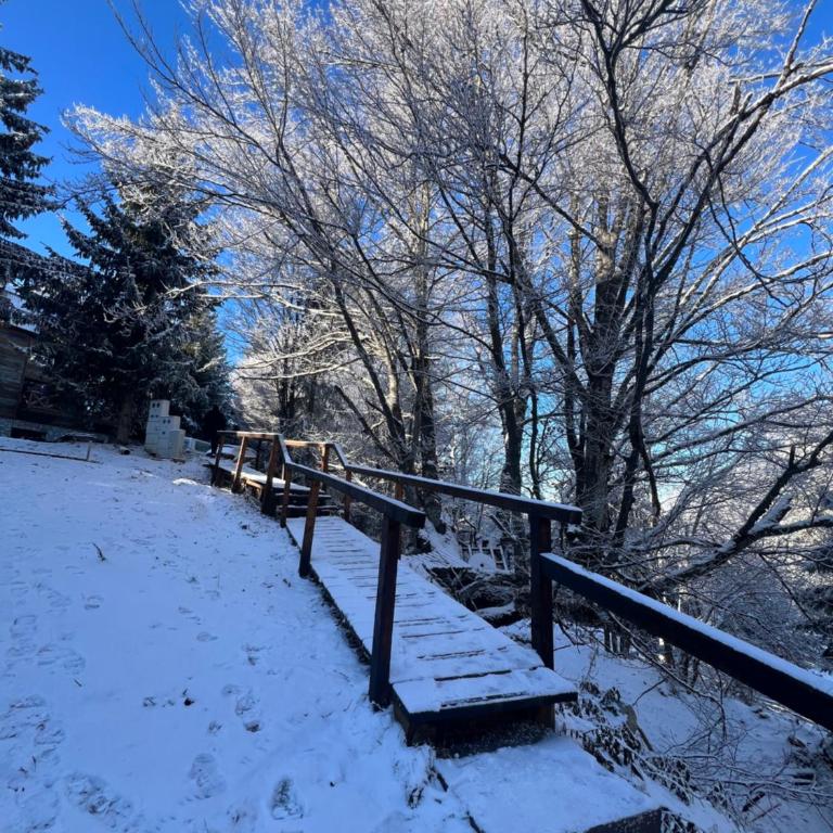 Bungalux Kopaonik - Kuća sa 1 Spavaćom Sobom - 22