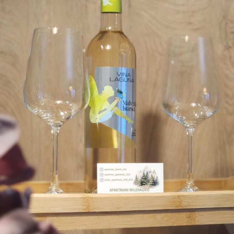 Aparthotel Vucko-apartmani 10 i 12-private host - Apartman sa 2 Spavaće Sobe - 12