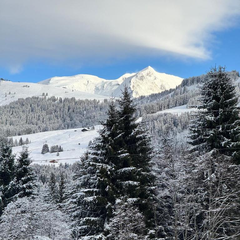 Appartement Hameau des Pistes - Ski-in and Ski-out - Appartamento con Vista Montagna - 22