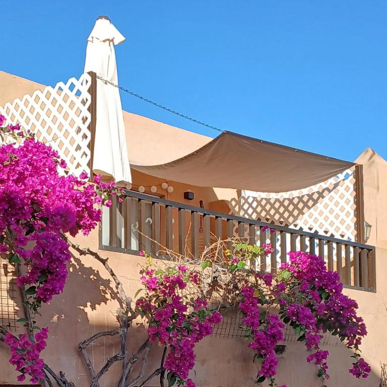 Casa Oceanía - One-Bedroom Apartment - 22