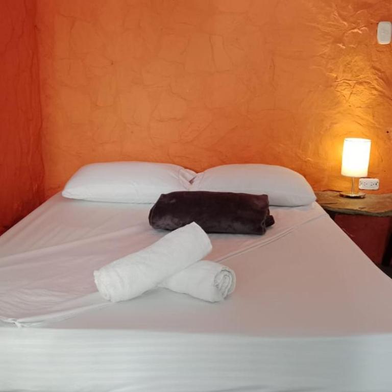 Cabaña Amazona - Apartamento de 1 dormitorio - 5