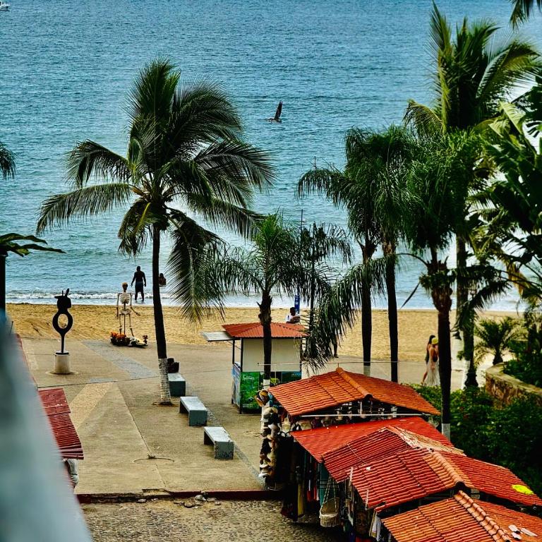 Sunny Jr Suites in downtown Puerto Vallarta - One-Bedroom Apartment - 1