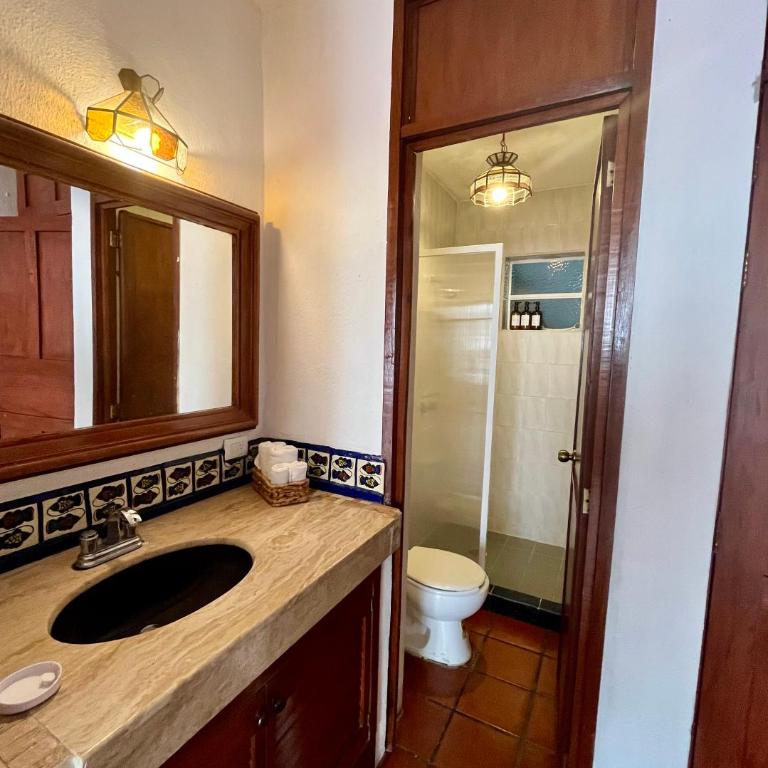 Sunny Jr Suites in downtown Puerto Vallarta - One-Bedroom Apartment - 5
