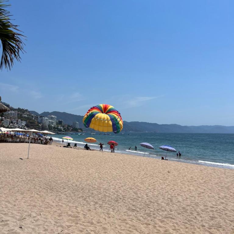 Sunny Jr Suites in downtown Puerto Vallarta - One-Bedroom Apartment - 7