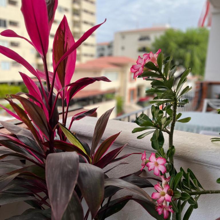 Sunny Jr Suites in downtown Puerto Vallarta - One-Bedroom Apartment - 11