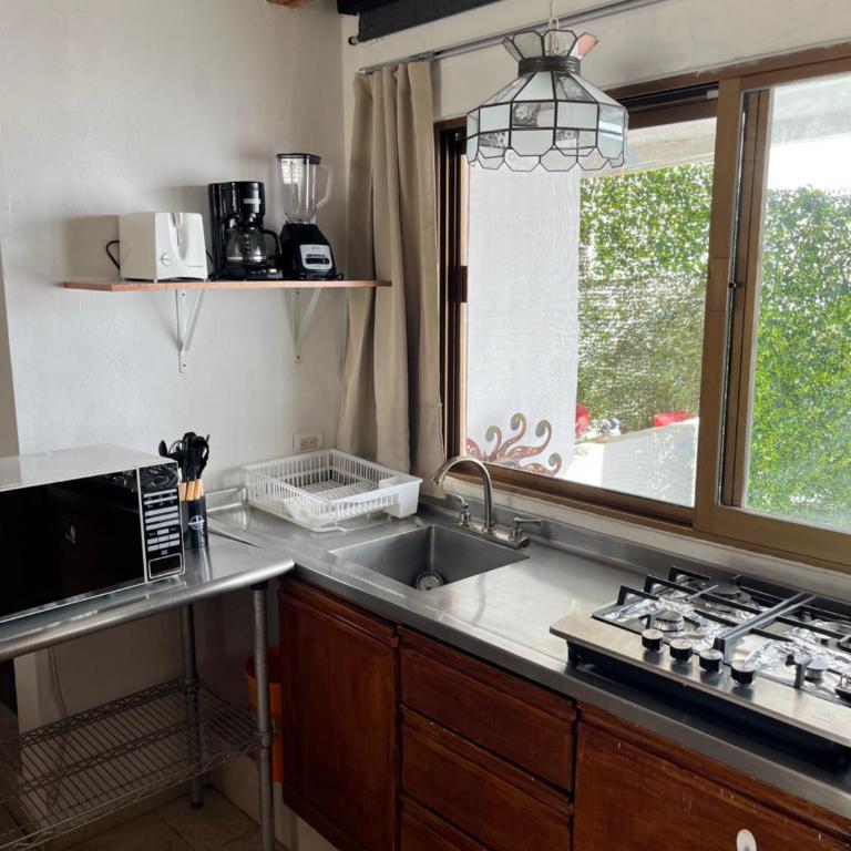 Sunny Jr Suites in downtown Puerto Vallarta - One-Bedroom Apartment - 8