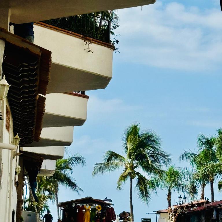 Sunny Jr Suites in downtown Puerto Vallarta - One-Bedroom Apartment - 13