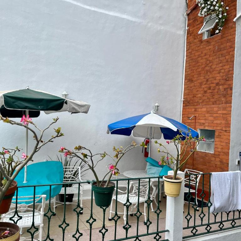 Sunny Jr Suites in downtown Puerto Vallarta - One-Bedroom Apartment - 27