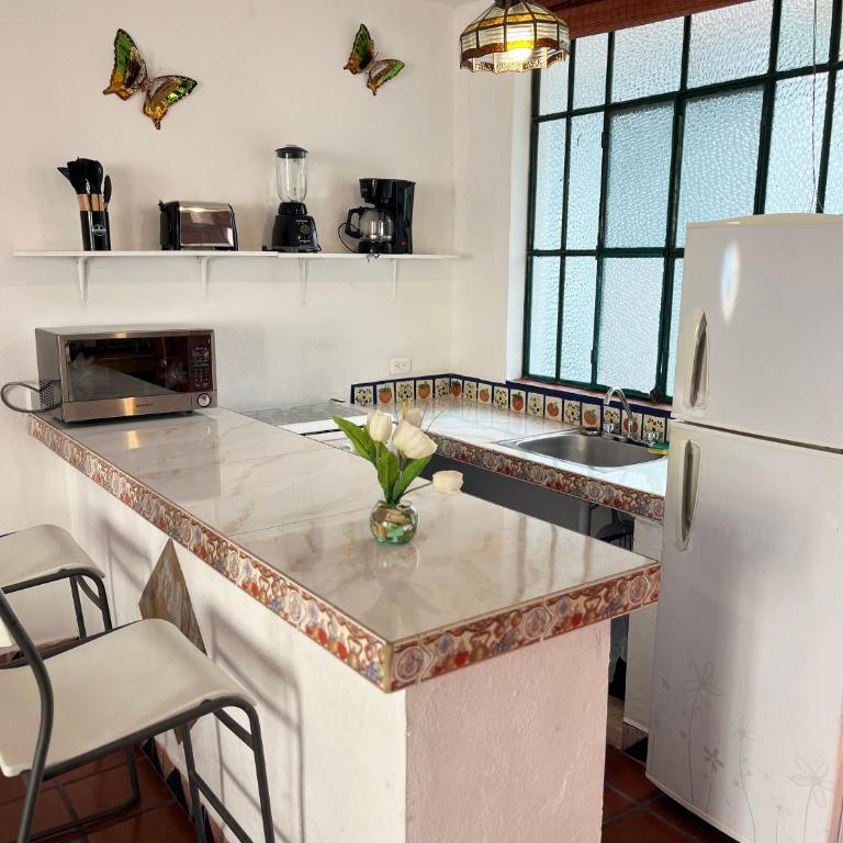Sunny Jr Suites in downtown Puerto Vallarta - One-Bedroom Apartment - 28