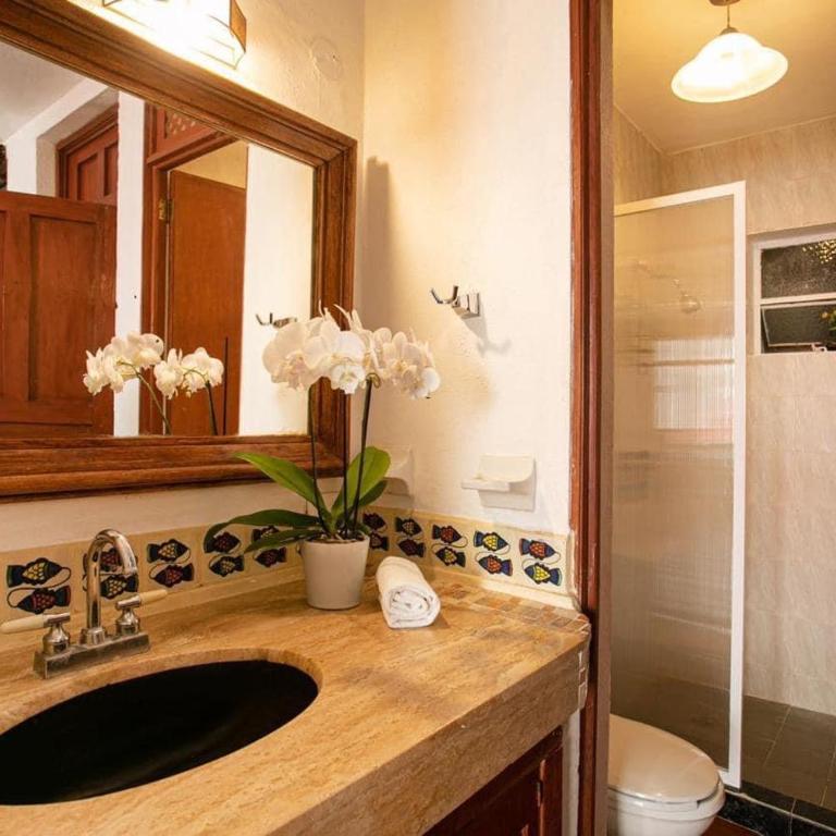 Sunny Jr Suites in downtown Puerto Vallarta - One-Bedroom Apartment - 17