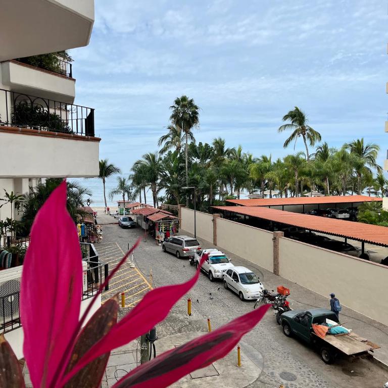 Sunny Jr Suites in downtown Puerto Vallarta - One-Bedroom Apartment - 32