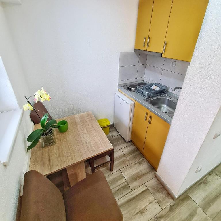 Vila Aleksandra 2 Studio 2 - Studio sa Terasom - 13