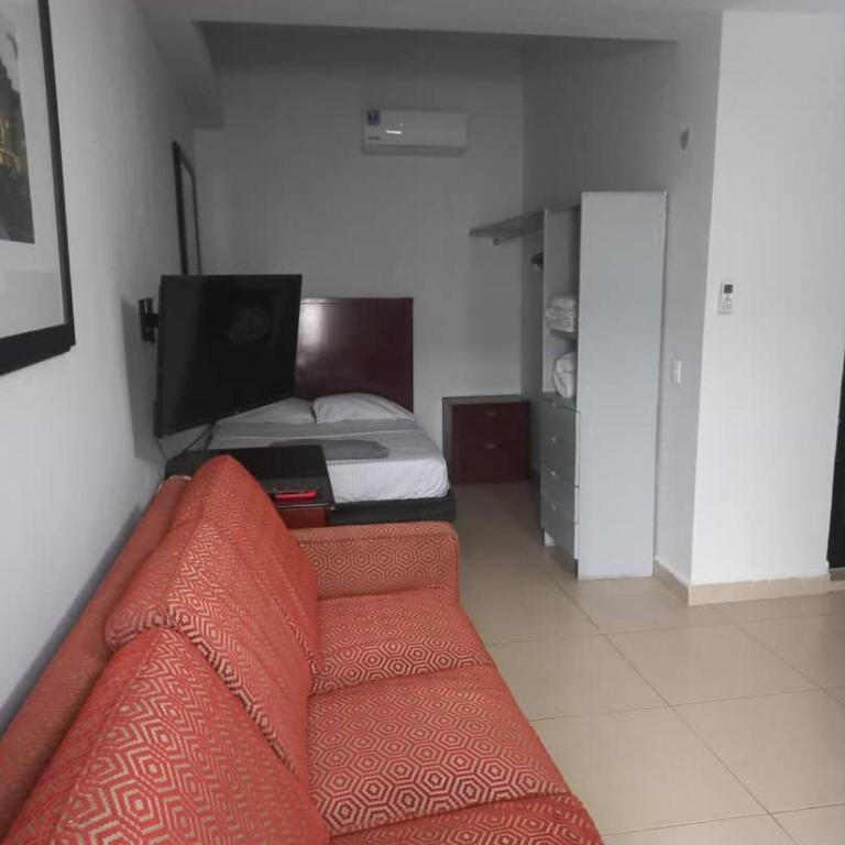 Loft hermoso con estacionamiento gratuito - One-Bedroom Apartment - 2
