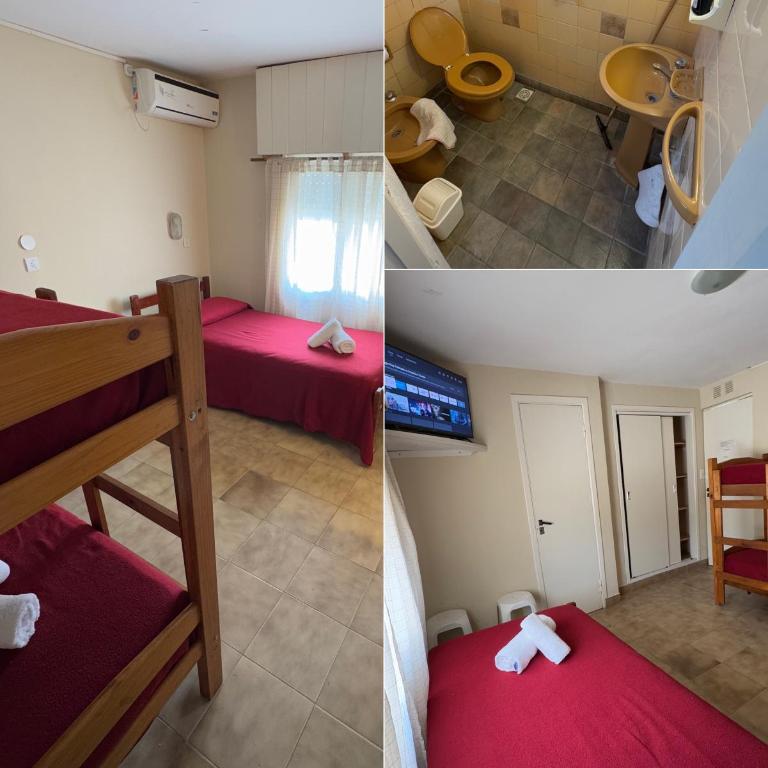 Verona Hostel - Cama individual en habitación compartida - 10