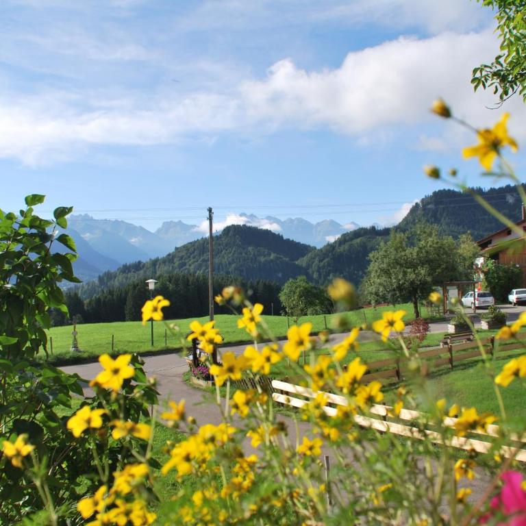 Landhaus Aigner-Vogler - Apartment - 8