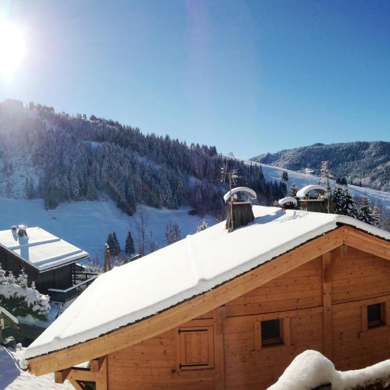 La Clusaz - 6 personnes, Appartement 33m² avec Terrasse - FR-1-818-18 - Apartment - 11