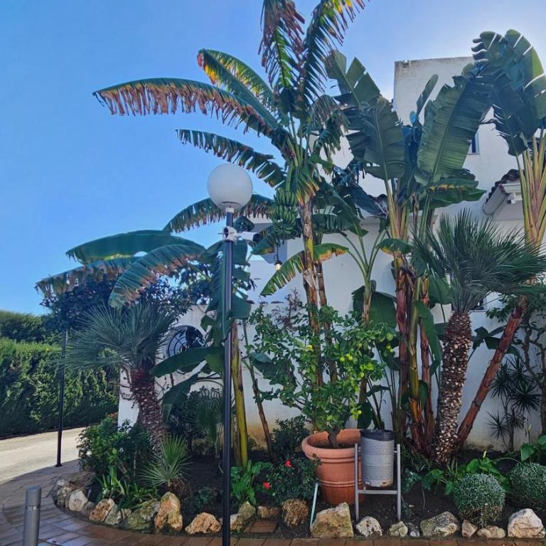 4 Bedroom Townhouse 200 meters from the Beach! - Apartment - 61