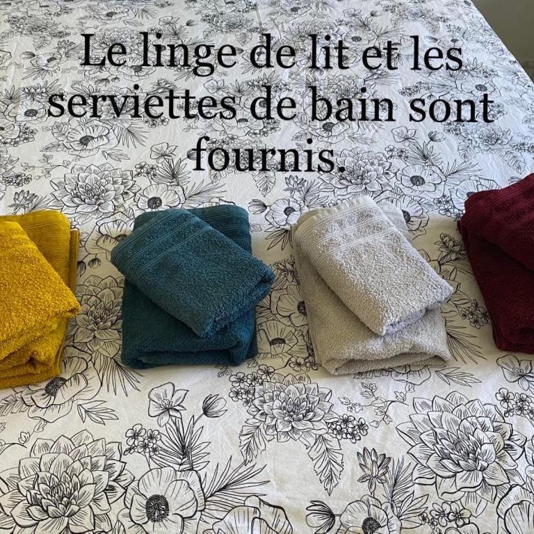 Bas de villa composée d'un 3 pièces et d'un studio avec piscine privée - Maison 3 Chambres - 17