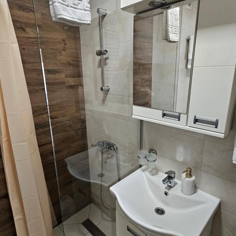 Soko City Center & Parking Free - Apartman s 1 Spavaćom Sobom i Balkonom - 10