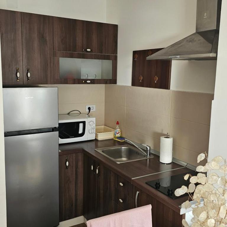 Soko City Center & Parking Free - Apartman s 1 Spavaćom Sobom i Balkonom - 4