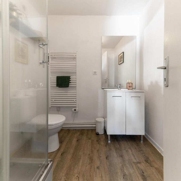 Grande Maison Clermont - Appartements centre ville - Appartamento con 1 Camera da Letto - 30