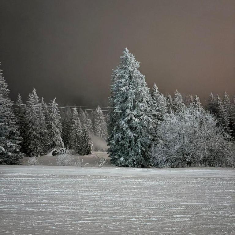 Snow peak Wellness & Spa, Kopaonik Milmari N5 - Deluxe King Studio - 58