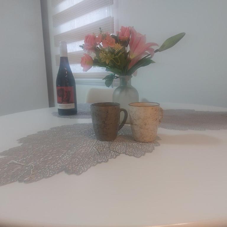 Apartman Milly - Apartman sa Terasom - 17
