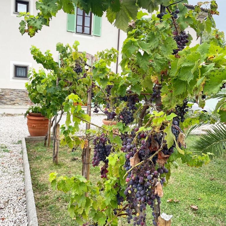 'Il Casale di Giova' Tuscan Farmhouse - Casa Vacanze - 24