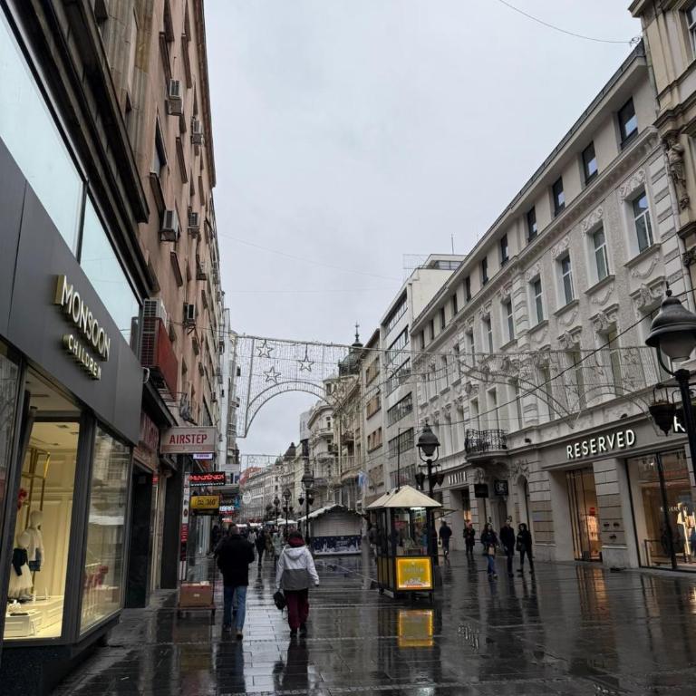 Knez Mihailova apartment, City center - Apartman sa 1 Spavaćom Sobom - 13