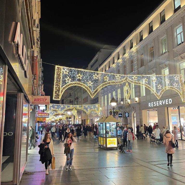 Knez Mihailova apartment, City center - Apartman sa 1 Spavaćom Sobom - 14