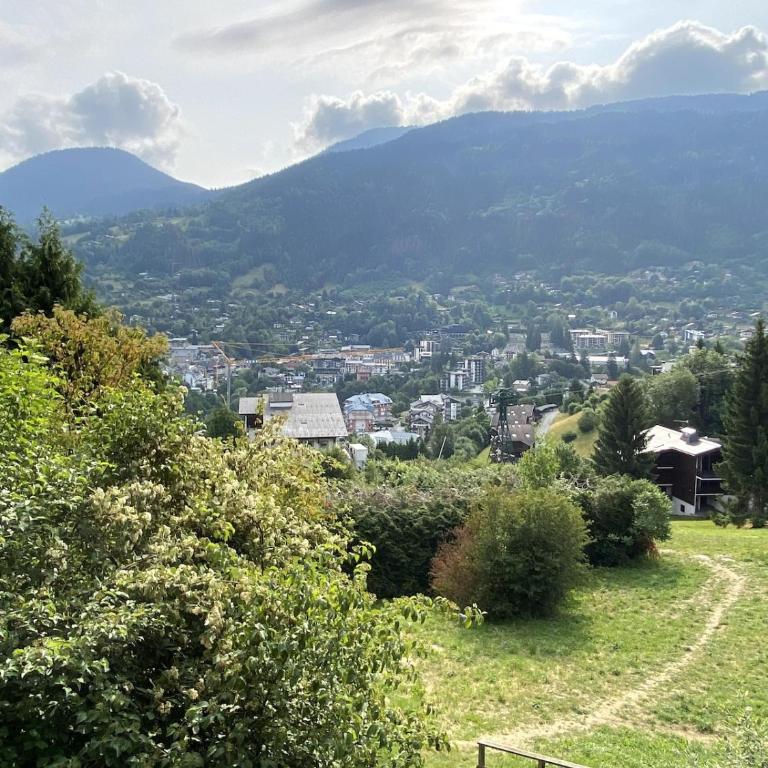 Le Nid Douillet des Gerets - Studio Apartment with One Double Bed - 17