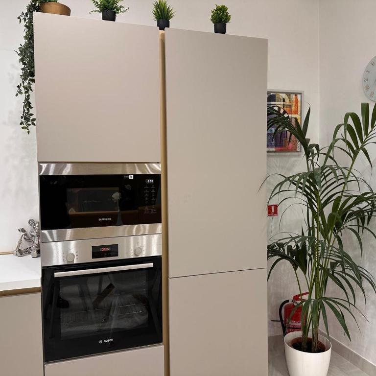 RDhomes Falvo, Vomero - One-Bedroom Apartment - 64