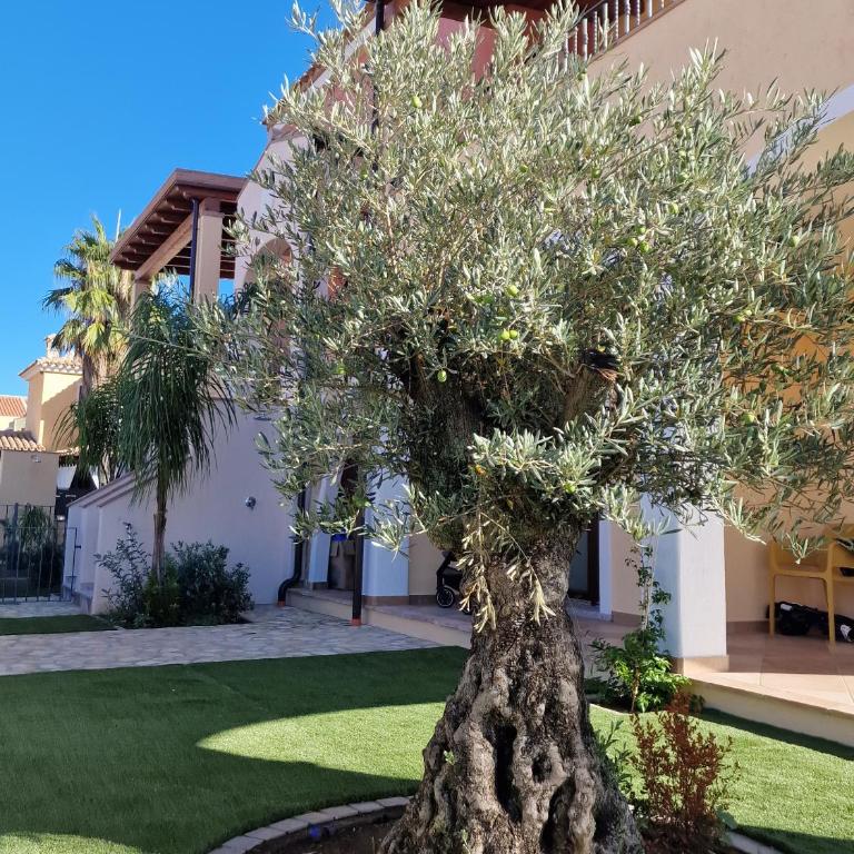 Casa Toni, Villasimius - Two-Bedroom Apartment - 8